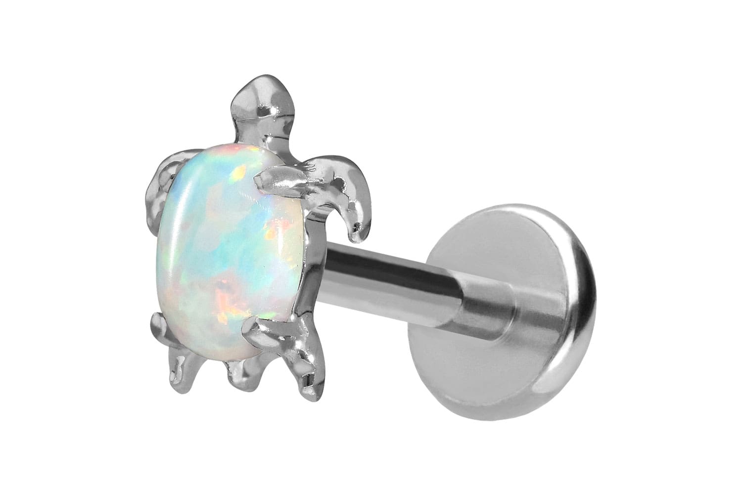 Titan Labret Piercing mit Push Fit SCHILDKRÖTE